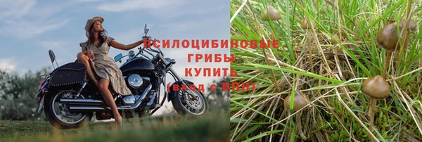 альфа пвп Вяземский