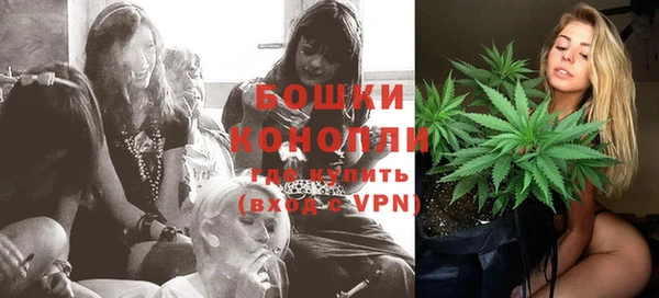 тгк Горняк