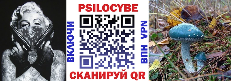 мориарти наркотические препараты  Кочубеевское  Псилоцибиновые грибы ЛСД 